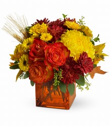 Teleflora's Autumn Expression from Weidig's Floral in Chardon, OH